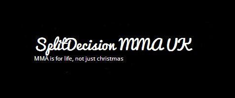 Split Decision banner