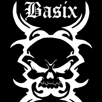 Basix Professional Wrestling Training School